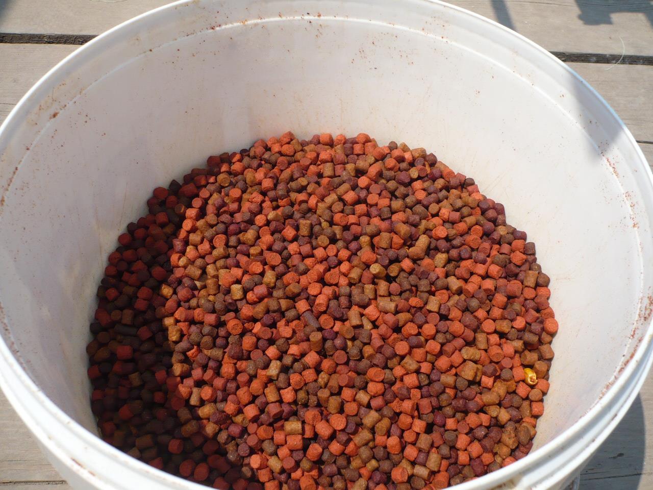 Magura 9 - 10.IUL.2014 - p1020766.JPG